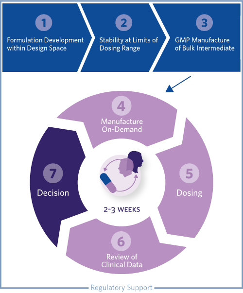 XpressPharma_Process_Mobile_500x603 Visual Depiction of Xpress Pharmaceutics Process: 1. Formulation Developent, Stability at Limits of Dosing Range, GMP Manufacture of Bulk Intermediate, Manufacturing On Demand, Dosing, Review of Clinical Data, Decison, and Regulatory Support